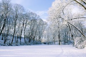 winter-1143545_960_720