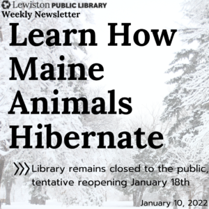 Image with text that says: learn how maine animals hibernate. Library remains closed to the public, tentative reopening January 18th