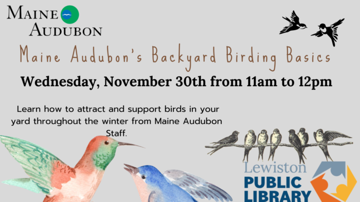Graphic for Backyard Birding Basics Program