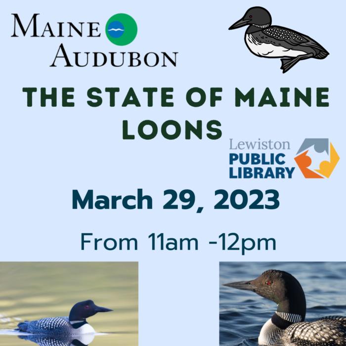 Icon for Maine Loons Program