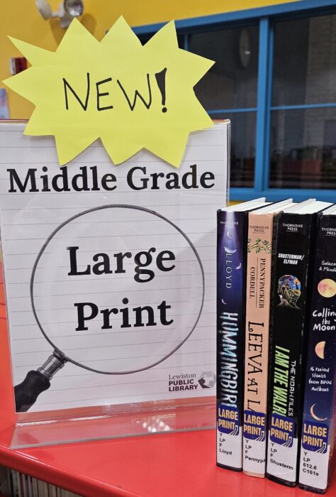 Photo: Four middle grade large print books on a bookshelf