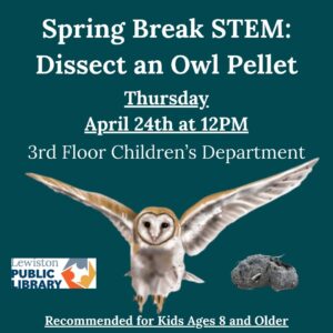 Graphic for the dissect an owl pellet program.