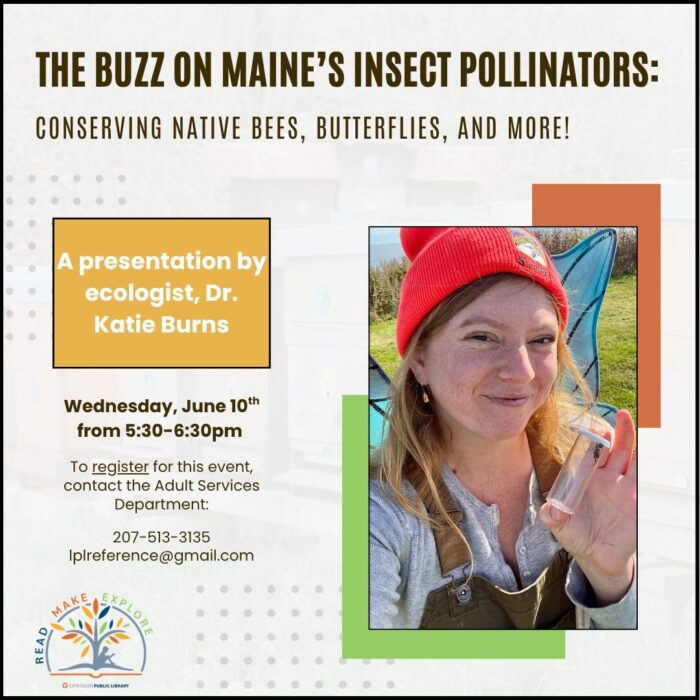 graphic for maine's insect pollinators presentation